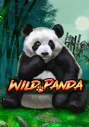 Wild Panda